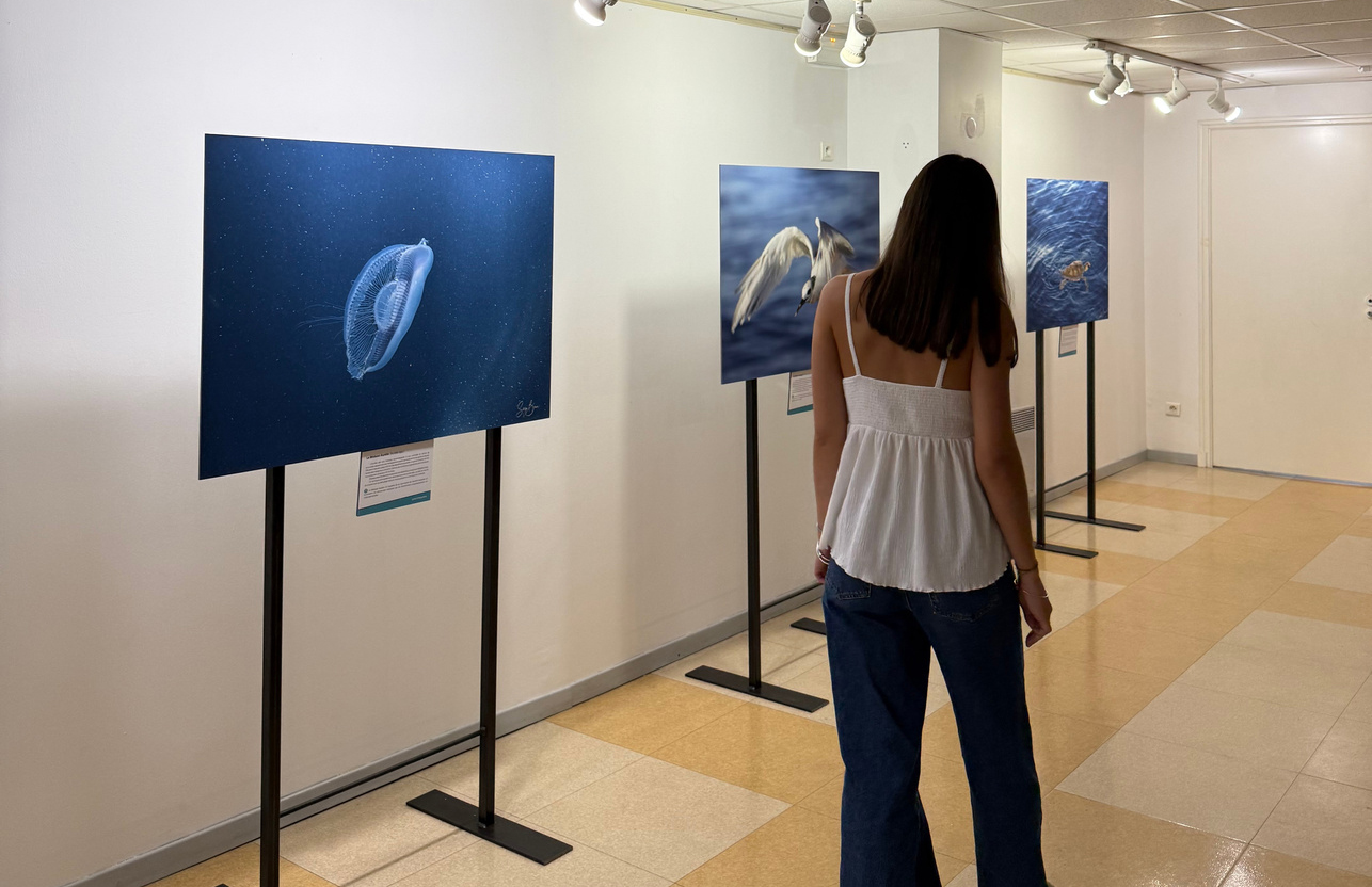 expositions