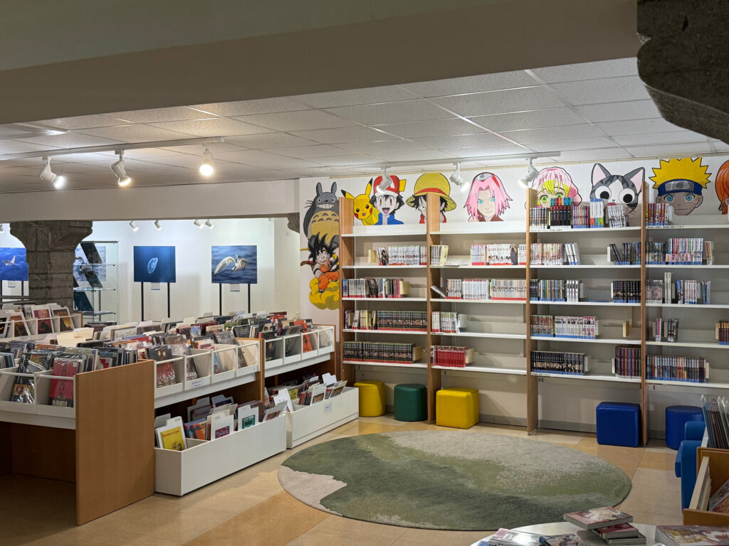 mediathèque carrousel 6