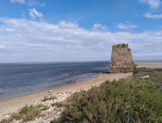 Journée mondiale des zones humides